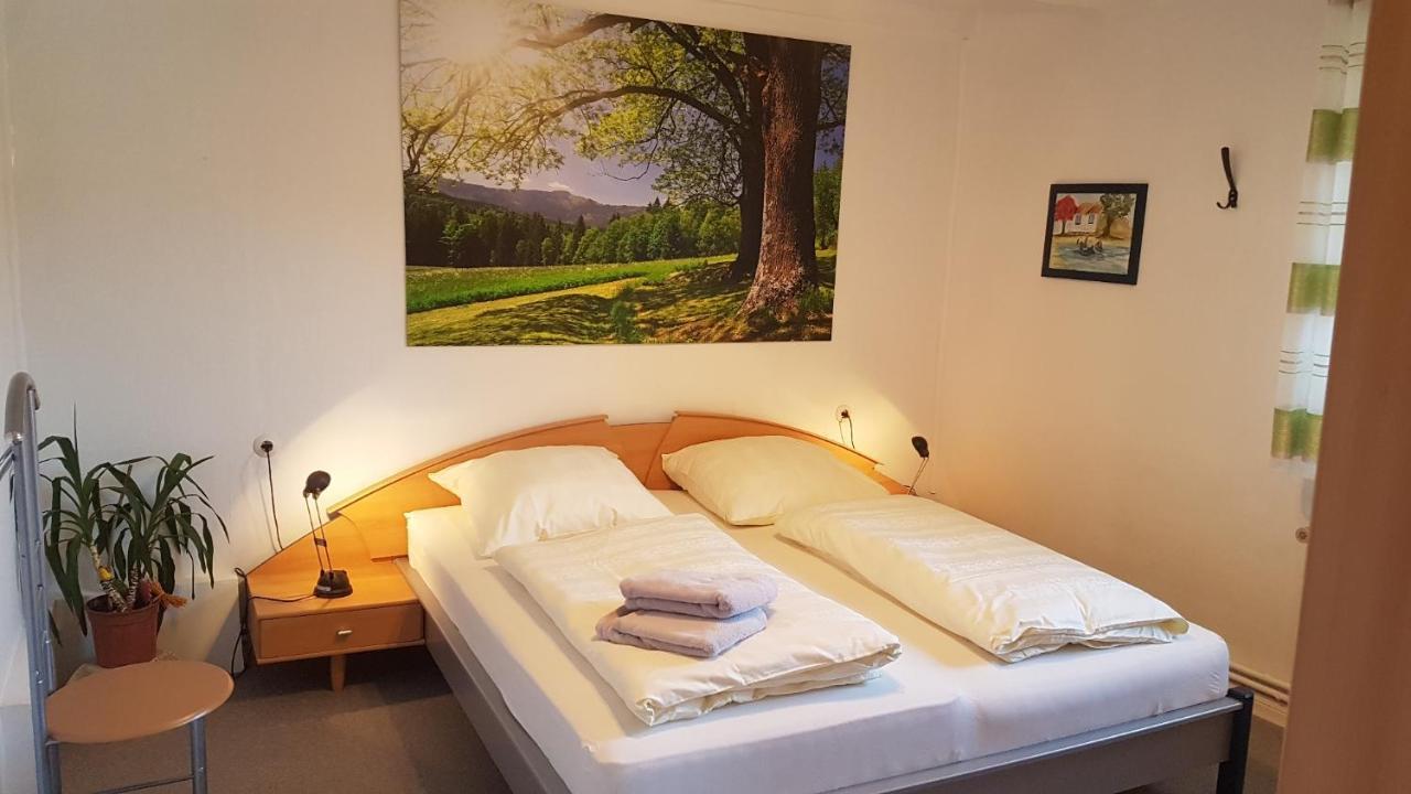 Appartement Haus Christa à Langelsheim Extérieur photo