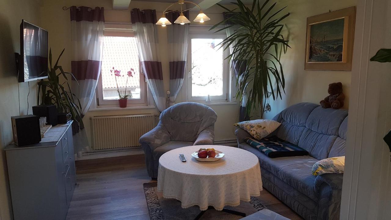 Appartement Haus Christa à Langelsheim Extérieur photo