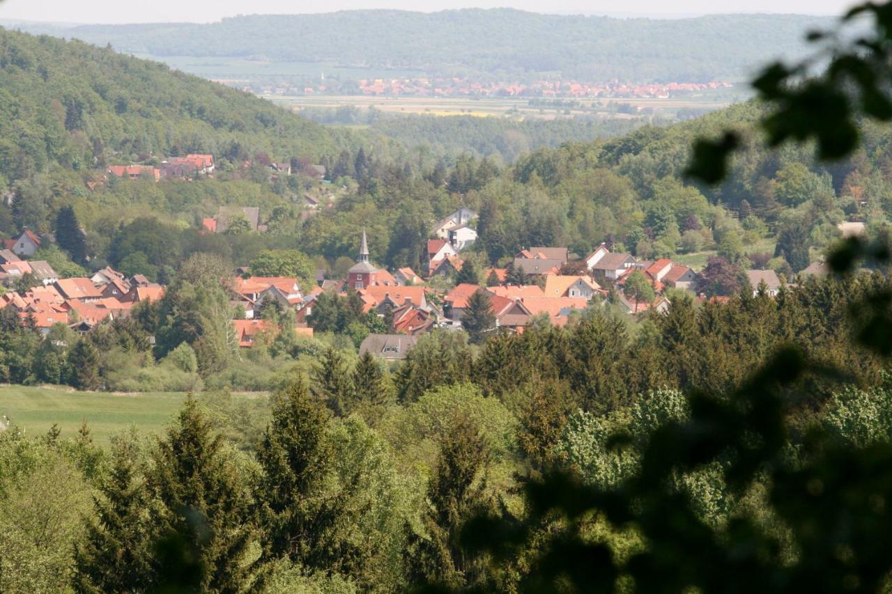 Appartement Haus Christa à Langelsheim Extérieur photo
