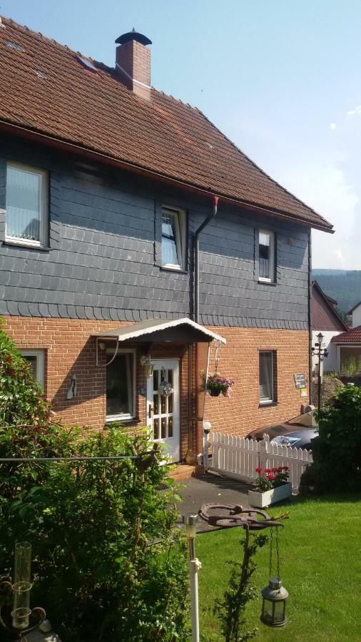 Appartement Haus Christa à Langelsheim Extérieur photo