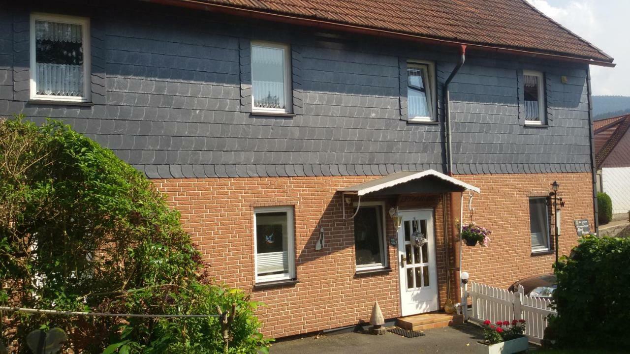 Appartement Haus Christa à Langelsheim Extérieur photo