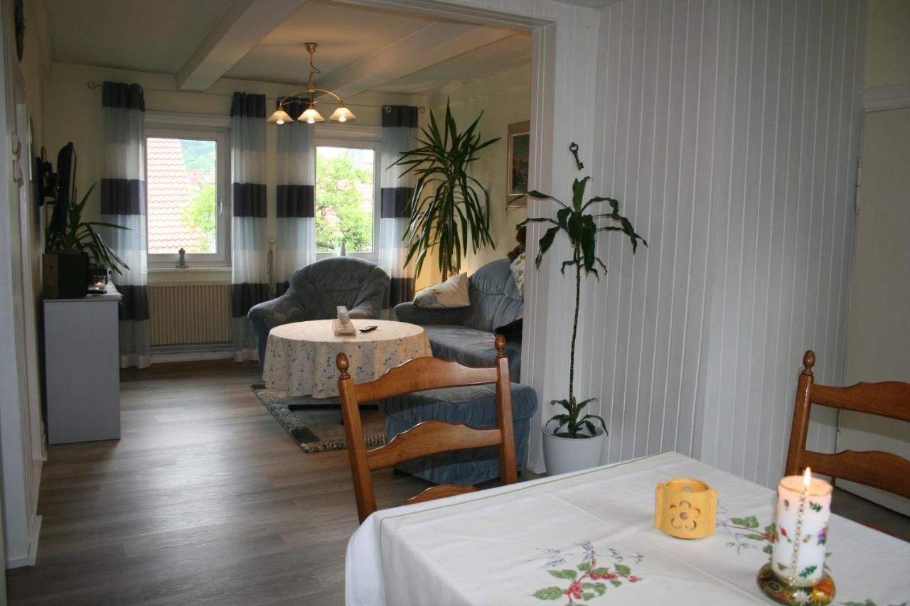 Appartement Haus Christa à Langelsheim Extérieur photo